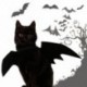 1x kutya Macska állat denevér jelmez halloween karácsony