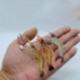 1x sőtétben világító 9.5 cm bait crabkbait műcsali horgász kiegészítő horoggal