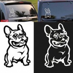 Francia bulldog autómatrica - Aranyos kutyás matrica dekoráció
