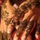 Ideiglenes Tetoválás - vízálló matrica - unisex - Henna szerű mintával - 1-es verzió