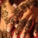 Ideiglenes Tetoválás - vízálló matrica - unisex - Henna szerű mintával - S113R verzió