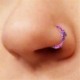 8db zökkenőmentes csuklós szegmens alvó gyűrű karika fül ajkak orr szeptum Piercing Set