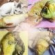 * 3 1PC sárgarépa (15X7CM) - * 3 1PC sárgarépa (15X7CM) Új kiskutya kutya macska fogászati fogak Egészséges fogak