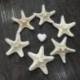 2Pcs természetes csillag tengeri csillag Shell akvárium táj DIY gyártása kézműves dekoráció