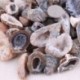 2.5x5cm 2Pc Agate Geodes Gyűjtemény Természetes kristályok felét gyógyító kő ékszer készítés