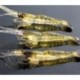 1db Cicada Bass rovar 4cm Horgász csalik Crankbaits horogok Garnélarák Minnow Frog Fish Baits Bass Tackle Tool