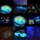 Lila 10g fény a sötét fényes por fluoreszcens fényes pigment graffiti DIY