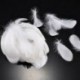 fehér 100db természetes liba tollak 8-12 cm hattyú Plume karnevál dekoráció DIY kézműves
