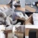 fehér Waxed Thread 0.8mm 90m poliészter kábel varrás varrással bőr kézműves karkötő