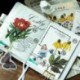 * 5 60db címke napló papír matrica Scrapbooking növények Virág matricák Telefon dekoráció