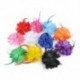 Piros 1 x Menyasszonyi virág tollas gyöngy hajcsavarok Fascinator Hairband bross Pin Esküvő
