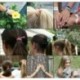 * 12 6db elasztikus vegyes haj kötés csomó lófarok tartó Hajpánt karkötő szalag szalag