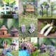 5db Mini Fa kerítések Miniatűr kézműves növényi tündérfűke babaház dekoráció kerti dísz DIY új