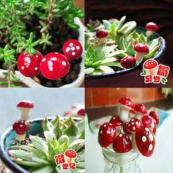 20Pcs Vörös hab Gomba Miniatűr kézműves növényi tündérfűke babaház dekoráció kerti dísz DIY új