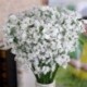 Gypsophila virágos mesterséges hamis selyem virág növény fél esküvői lakberendezés Új