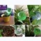 Nagy zöld 1X automata öntözőkészülék öntözőberendezése Háztartási növény Pot Garden Bulb eszközök