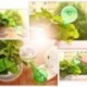 Nagy zöld 1X automata öntözőkészülék öntözőberendezése Háztartási növény Pot Garden Bulb eszközök