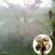 4 lyuk Lyuk sárgaréz szórófej fúvóka sprinkler fej kerti farm öntözőrendszer Új