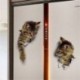 3. minta Kivehető fali matricák Vinil aranyos 3D macska hálószoba WC otthoni falfestmény Art Decor