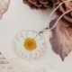 fehér Női Boho átlátszó gyanta szárított virág százszorszép medál lánc nyaklánc ékszer