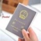 Tiszta Matta Utazási útlevél-azonosító Hitelkártya-fedél birtokosa Protector Szervező Bőr Új