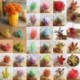 5 * Szimuláció Mini műanyag miniatűr pozsgás növények Kert Home Office Decor