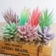 5 * Szimuláció Mini műanyag miniatűr pozsgás növények Kert Home Office Decor