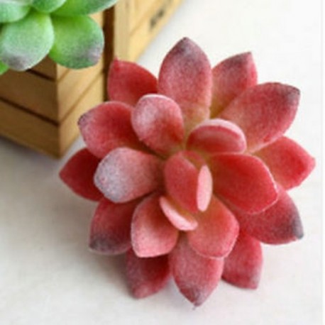 6 * Szimuláció Mini műanyag miniatűr pozsgás növények Kert Home Office Decor