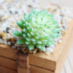 9 * Szimuláció Mini műanyag miniatűr pozsgás növények Kert Home Office Decor