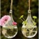 Ovális alakú Üveg lógó labda váza virág ültetvény pot terrárium konténer otthoni kert dekoráció