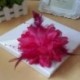 Rózsavörös Menyasszonyi virág tollas gyöngy hajcsavarok Fascinator Hairband bross Pin Esküvői JP
