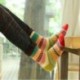 narancs Női férfi puha pamut téli meleg zokni Unisex divatos ruha csíkos zokni