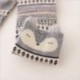 Szürke róka Aranyos szép 3D rajzfilm állat állatkert női zokni Női lányok pamut meleg lágy Sox