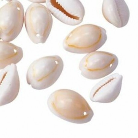 50db Shell gyöngyök női ékszerek karkötő nyaklánc fülbevaló készítés DIY Gi N4D6