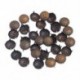 100db-os bronz tónusú táska, kerek, faragott virágtartó, barkácsos szegecs 11x6.5mm Q8F9