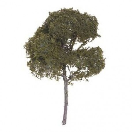 3,54 hüvelyk tájképes, parkosított Sycamore fa modell / Sycamore I7Y7 modell