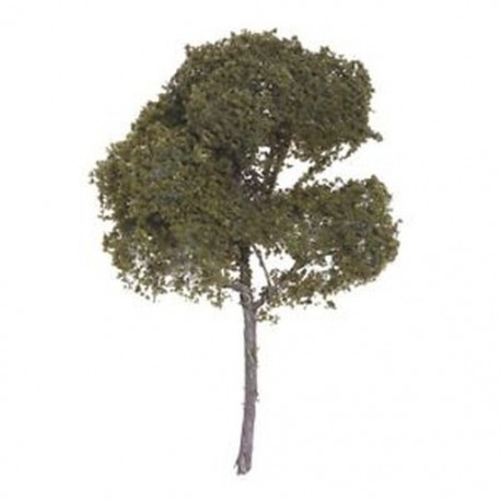 3,54 hüvelykes tájképes parkosított Sycamore fa modell / Sycamore G8N3 modell
