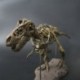 1X (nagy dinoszauruszos fosszilis koponya állatmodell játékok Tyrannosaurus Rex összeszerelés C3G7