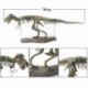 1X (nagy dinoszauruszos fosszilis koponya állatmodell játékok Tyrannosaurus Rex összeszerelés C3G7