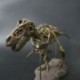 2X (nagy dinoszauruszos fosszilis koponya állatmodell játékok Tyrannosaurus Rex szerelvény W1U5