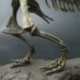 2X (nagy dinoszauruszos fosszilis koponya állatmodell játékok Tyrannosaurus Rex szerelvény W1U5