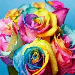 1X (5D DIY gyémánt hímzés. Színes virágok gyémántfestés Cross Stitc D1C8