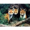 Gyémántfestés állati képek strasszos gyémánt hímzéssel eladó Fox D2M5