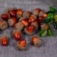 1X (20db 3cm-es fenyőtobozok mini műhamisított hab gyümölcsök és zöldségek T3E8