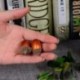 1X (20db 3cm-es fenyőtobozok mini műhamisított hab gyümölcsök és zöldségek T3E8