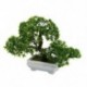 Mini üdvözlő fenyő növény, a fő bonsai dekoráció H6I7 művirágja