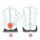 2X (üléspárna prémium ortopédiai Coccyx iskolás párna kerekes szék tisztviselő M4Y2