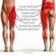 4X (Bodymate kompressziós tekercs az ágyék csípő combjának négyszoros csuklójára SciaY3T8