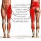 6X (Bodymate kompressziós tekercs az ágyék csípő combjának négyszoros csuklójára Scia K7C7