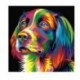 6X (DIY keret nélküli kép faliolajfestménynél Állati absztrakt kutya rajz D A8K4